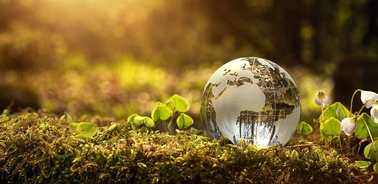 2d4f6239ab3241aaa9f26f93f7d2baa0